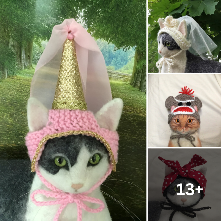 From Fancy to Festive: The World of Handcrafted Cat Hats
