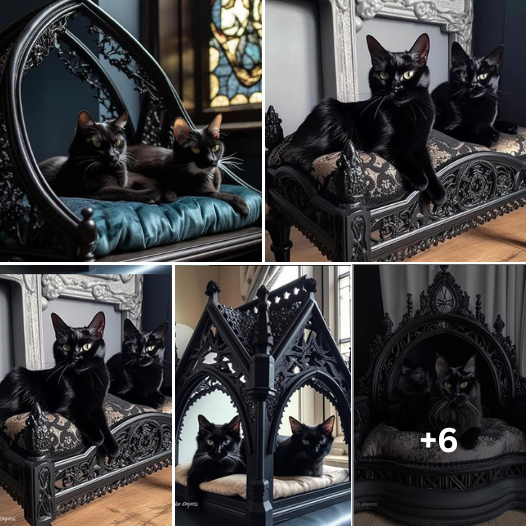 Not Just for Halloween: Embrace the Gothic Elegance with These Cat Beds