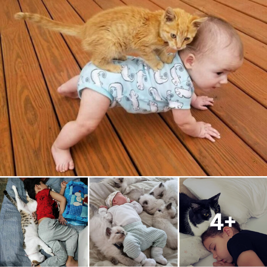 10 Times Cats Took Over Babysitting Duties – You Won’t Believe What Happened!
